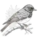 willy wagtail tattoo design idea