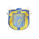 Escudo Rosario Central tattoo design idea