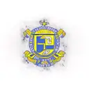 Escudo Rosario Central tattoo design idea