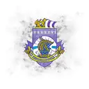 Escudo Rosario Central tattoo design idea
