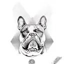 American bully tattoo design idea