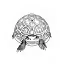 turtle with handpan as a shell tattoo design idea