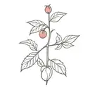 Ruby Cherry  tattoo design idea