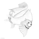 a siamese catfish tattoo design idea