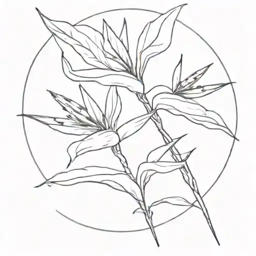 strelitzia tattoo design idea