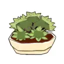 succulent plant tattoo design idea