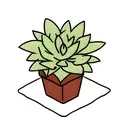 succulent plant tattoo design idea