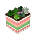 succulent plant tattoo design idea