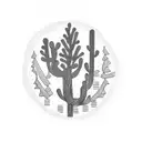 half pine half cactus  tattoo design idea