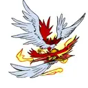 Phoenix  tattoo design idea