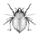 cockroach  tattoo design idea