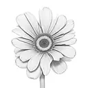 gerbera daisy and hibiscus flower sleeve tattoo design idea