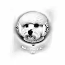 bichon maltés  tattoo design idea