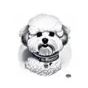 bichon maltés  tattoo design idea