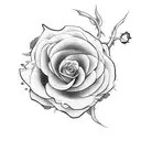 Nest of dead roses while a white dive flys away with a white rose tattoo design idea