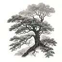ceiba tree in fog in the costa rican jungle tattoo design idea