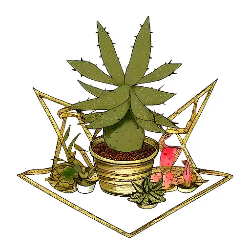 Gold triangle with a cactus,a sativa and an aloe flower in the midle tattoo design idea