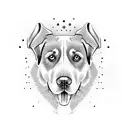 Labrador dog named Sașa tattoo design idea