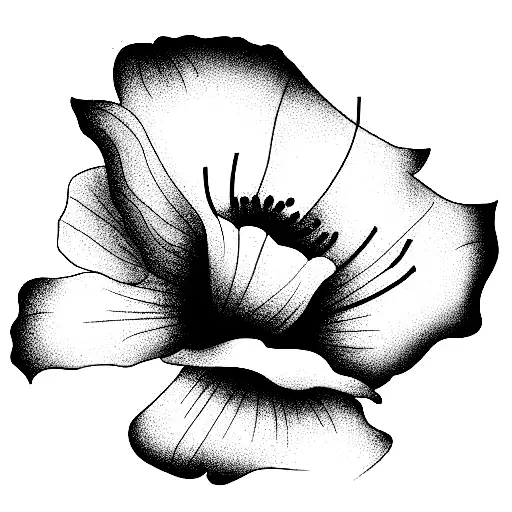 Opium poppy tattoo design idea