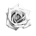 Rose Violet and lily  tattoo design idea