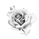 Rose Violet and lily  tattoo design idea