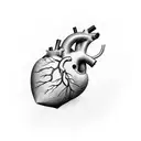 heart stone to heart anatomic tattoo design idea