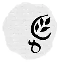 tea leaves on a vine where one leaf is a maple leaf another a dog paw one a treble clef and the rest tea leaves  tattoo design idea