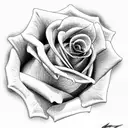 rose on fire tattoo design idea