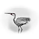 sandhill crane tattoo design idea