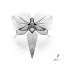 abstract line drawing dove and prarying mantis line drawing tattoo design idea