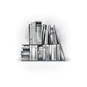 A bookshelf filled with crime novels and a mysterious key tattoo design idea