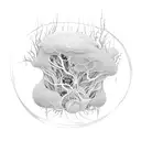 Generate a digital art representation of a tattoo sleeve design combining elements of a mycelium network, various types  tattoo design idea