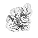 calathea  tattoo design idea