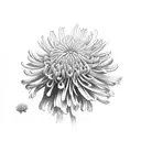Chrysanthemum tattoo design idea