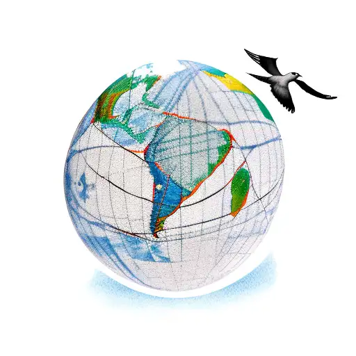 globe of the earth with a dove holding a banner and flying it around the earth tattoo design idea
