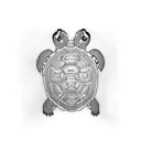 box turtle tattoo design idea