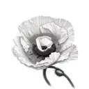 poppies wildflowers tattoo design idea