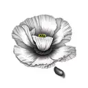 poppies wildflowers tattoo design idea