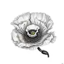poppies wildflowers tattoo design idea