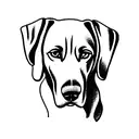 weimaraner tattoo design idea