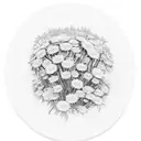 Turbulent riverbend with large Oak tree in the background and a patch of daisies and chrysanthemums in the foreground. tattoo design idea