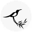 mocking bird tattoo design idea