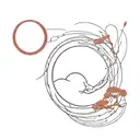japanese style red new moon with abstract lines and shading, birds in the background tattoo design idea