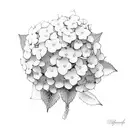 hydrangea bush tattoo design idea