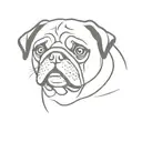 pug dog tattoo design idea