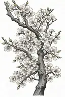 cherry blossom tree tattoo design idea
