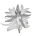 Bird of Paradise tattoo design idea