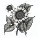 I want a sunflower, half in color and the other half in black and white, with the stem saying little sunflower in cursive tattoo design idea
