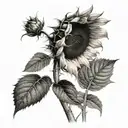 I want a sunflower, half in color and the other half in black and white, with the stem saying little sunflower in cursive tattoo design idea