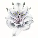 Masculine Lily flower and little dove tattoo design idea